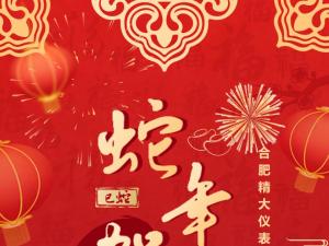 合肥精大儀表2025春節(jié)表彰暨聯(lián)歡會(huì)：回顧精彩，展望新程