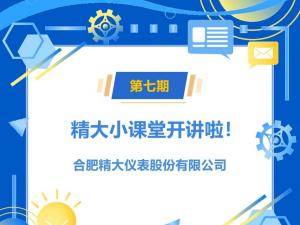 小微系列橢圓齒輪流量計(jì)簡介